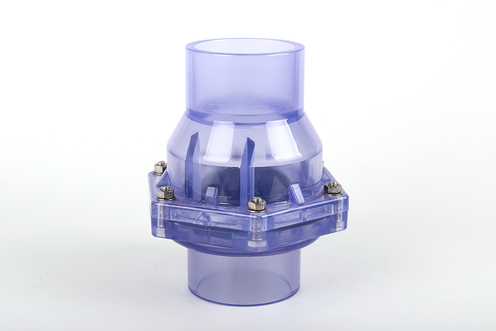 鄱阳透明翻板式止回阀